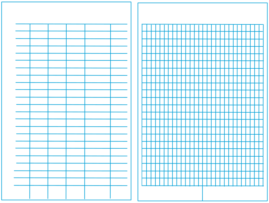 Field Notes blank form (Figure 2.2.3)