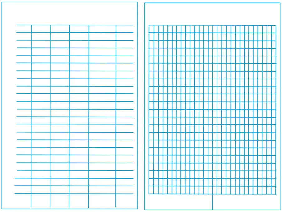 Field Notes blank form (Figure 2.2.3)